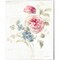 Cottage Garden by Danhui Nai 12" x 15" Canvas Wall Art (Set of 2)